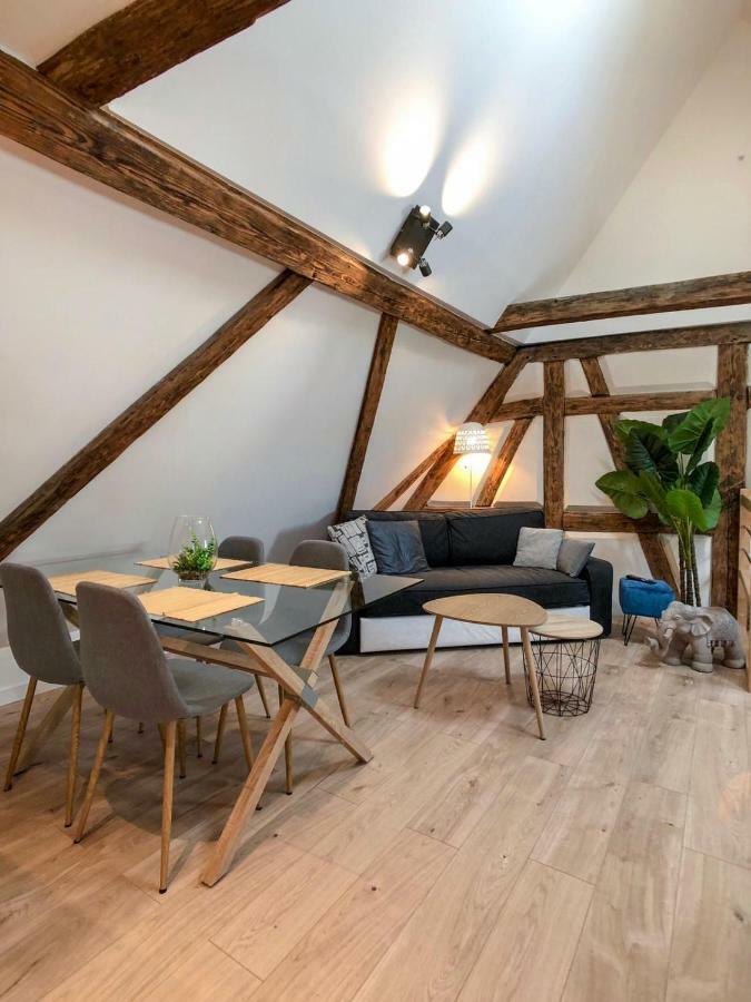 Beauty & The Beast - Old Town Cosy Apartment Colmar