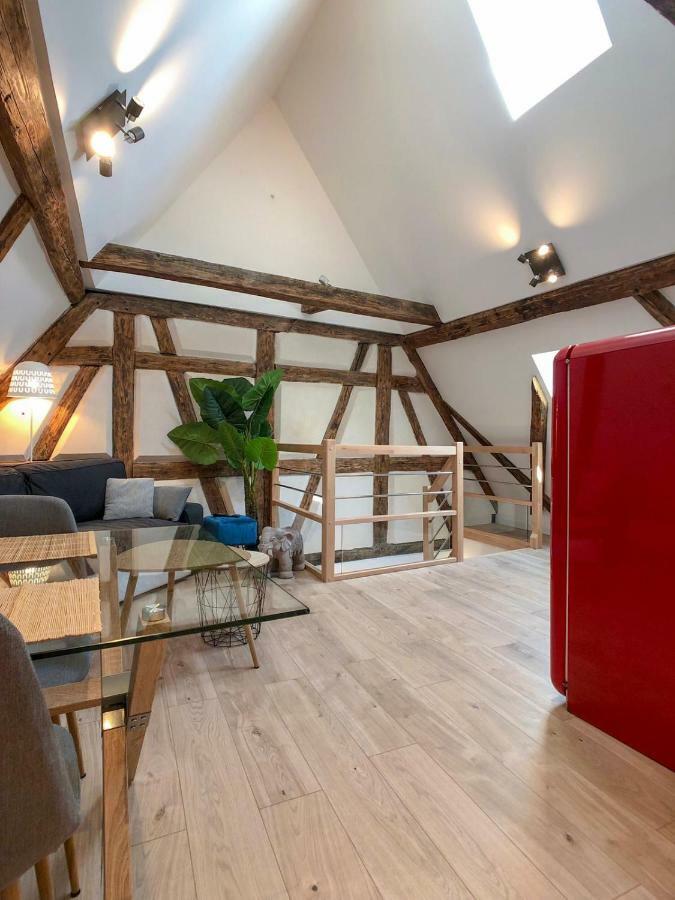 Apartment Beauty & The Beast - Old Town Cosy Colmar