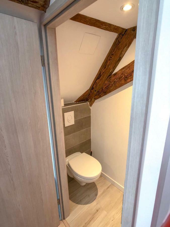 Beauty & The Beast - Old Town Cosy Colmar