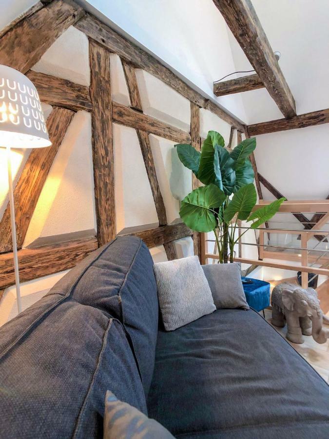 Beauty & The Beast - Old Town Cosy Colmar