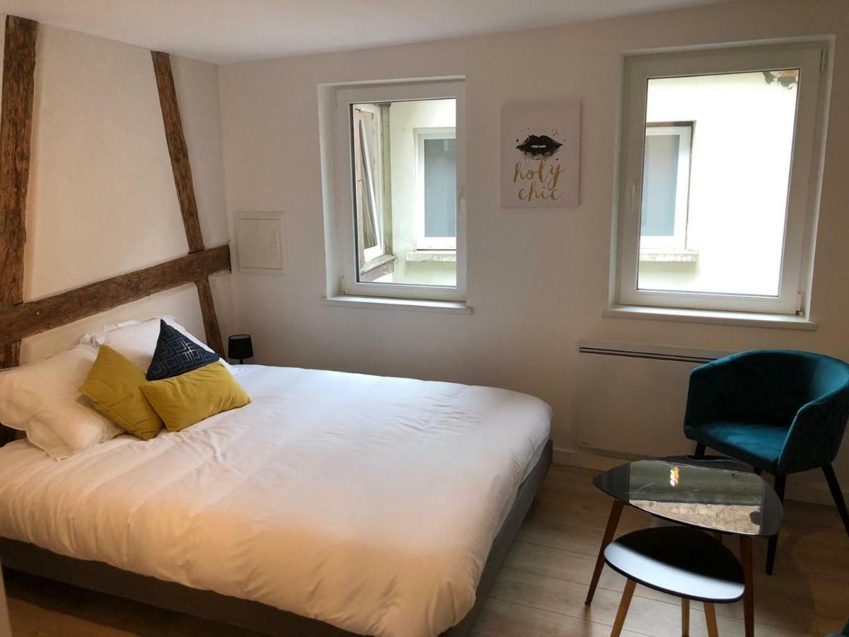 Beauty & The Beast - Old Town Cosy Colmar